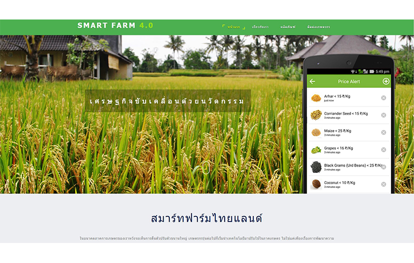 รับทำเว็บไซต์เกษตรกร เว็บขายข้าว farmer rampagesoft