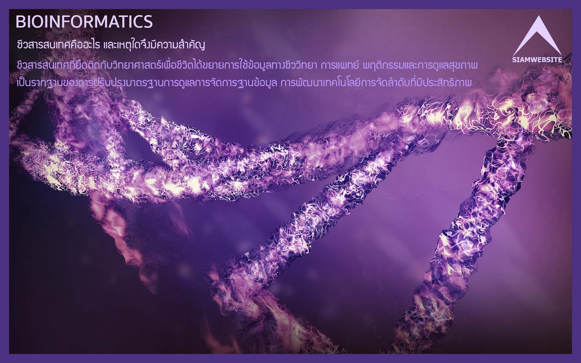 รับทําเว็บไซต์ เว็บขยายสายงาน ชีวสารสนเทศคืออะไร และเหตุใดจึงมีความสำคัญ : Bioinformatics | TTT-WEBSITE 
